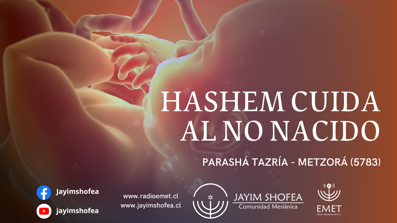 Tazría-Metzorá(5783)