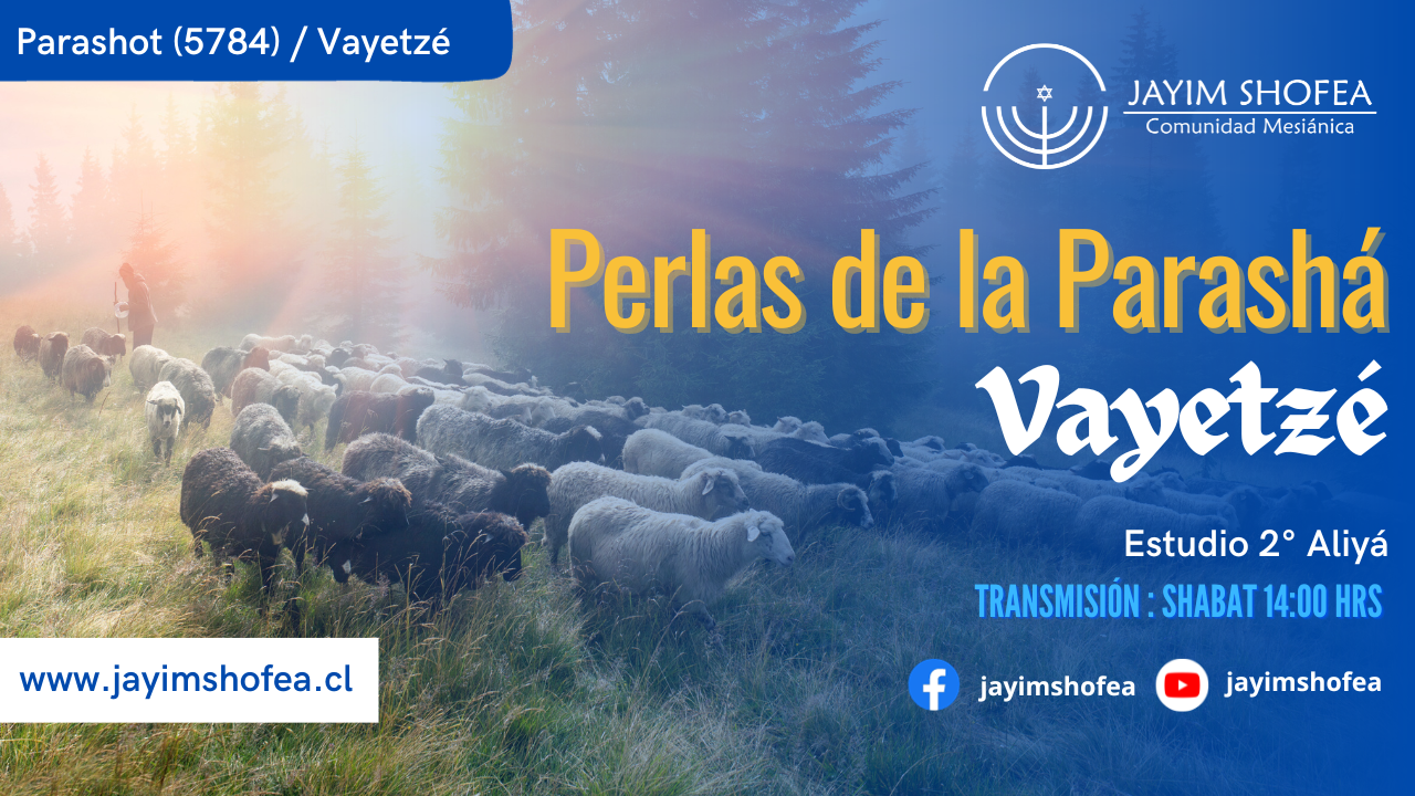 Vayetzé (5784)